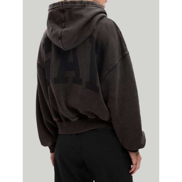GAP Vintage Hoodie